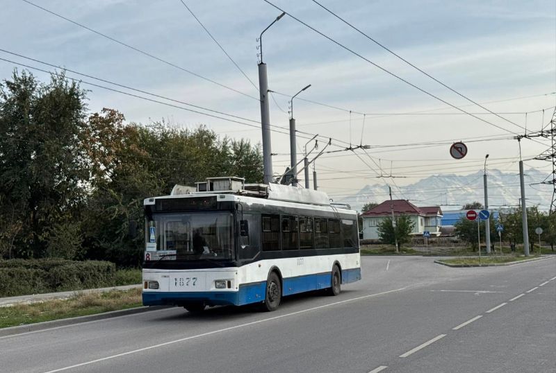 Trolza-5275.03 “Optima” Nr.1877 diente Ende Oktober 2024 auf der Linie 8. Foto: Lars F. Richter